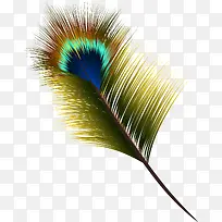 �ֻ�����ë-������