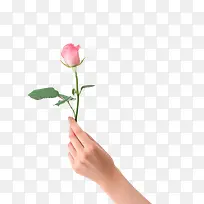 �� �ʻ�-������