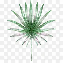 ÊÖ»æË®²ÊÊ÷Ö¦Ê÷Ò¶-¿ÕÈôÍø ÊÖ»æË®²ÊÊ÷Ö¦Ê÷Ò¶-¿ÕÈôÍø