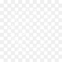 树 树木 木 植物 树林-空若网 树 树木 木 植物 树林-空若网