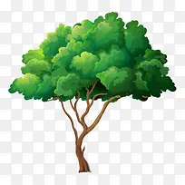 树 树木-空若网 树 树木-空若网