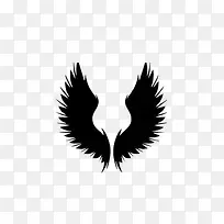 黑白翅膀-空若网 黑白翅膀-空若网