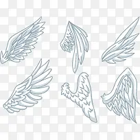 ��ɫ��ͨ���-������