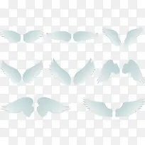 洁白的翅膀-空若网 洁白的翅膀-空若网