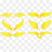 黄色翅膀-空若网 黄色翅膀-空若网