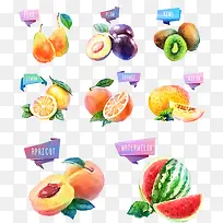 �ͷ�ˮ��-������