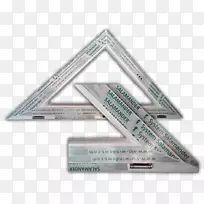 三角蜥蜴-空若网 三角蜥蜴-空若网