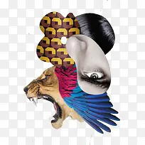 张嘴咆哮老虎-空若网 张嘴咆哮老虎-空若网