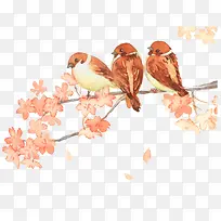 梅花树枝上的鸟-空若网 梅花树枝上的鸟-空若网