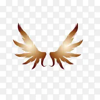 翅膀-空若网 翅膀-空若网