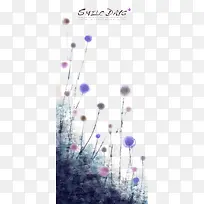 ��ɫ�ѹ�Ӣ-������