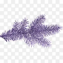 ��ɫ֦Ҷ-������