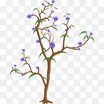 ��֦-������