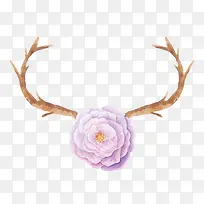 树枝-空若网 树枝-空若网