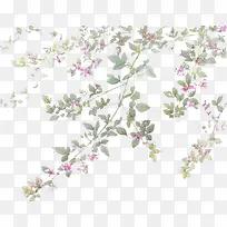 紫色小花-空若网 紫色小花-空若网