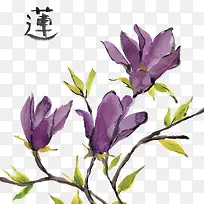 绿色叶子树枝-空若网 绿色叶子树枝-空若网