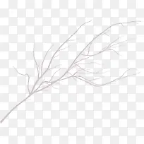 С������ɫ��֦-������