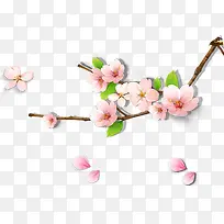 »¨-¿ÕÈôÍø »¨-¿ÕÈôÍø