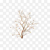 ��֦-������