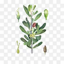 ˮ�ʹ𻨻���-������