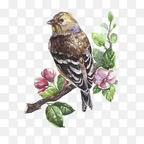 矢量手绘小鸟-空若网 矢量手绘小鸟-空若网