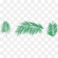 éÄÀÆÊ÷ÕëÒ¶ÁÖ-¿ÕÈôÍø éÄÀÆÊ÷ÕëÒ¶ÁÖ-¿ÕÈôÍø