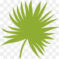 槟榔树针叶-空若网 槟榔树针叶-空若网