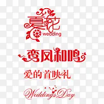 �����-������