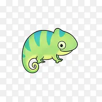 壁虎-空若网 壁虎-空若网