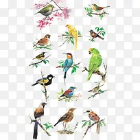 手绘站在树枝上的小鸟-空若网 手绘站在树枝上的小鸟-空若网