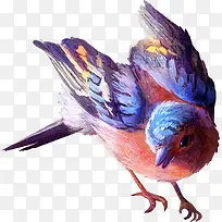 彩色大雁飞翔涂鸦-空若网 彩色大雁飞翔涂鸦-空若网