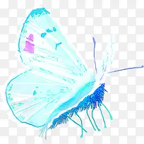 荧光蓝色蝴蝶飞蛾昆虫-空若网 荧光蓝色蝴蝶飞蛾昆虫-空若网