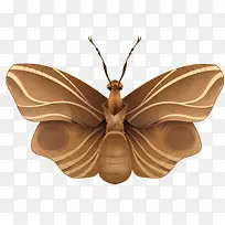 矢量枯叶蝶-空若网 矢量枯叶蝶-空若网