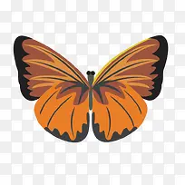 ʸ��һֻ����-������