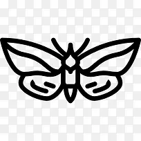 ��Ҷ��ͼ��-������