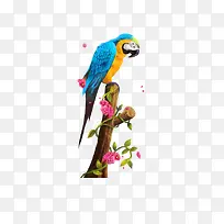 ¿É°®ðÐðÄ-¿ÕÈôÍø ¿É°®ðÐðÄ-¿ÕÈôÍø