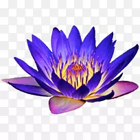 ˮ�ٺϼ������ٺϻ�-������