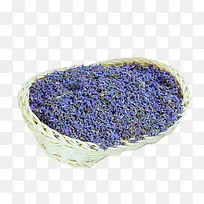 ޹�²�������ز�-������