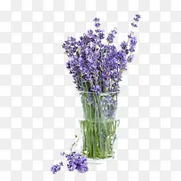 ��޹�²�����ز�-������