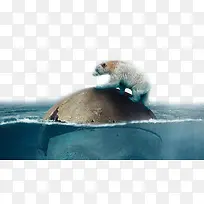 �������⺣���ز�-������