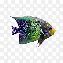 ��ɫ����-������