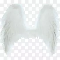 翼阿拉剪贴画-天使翅膀-空若网 翼阿拉剪贴画-天使翅膀-空若网