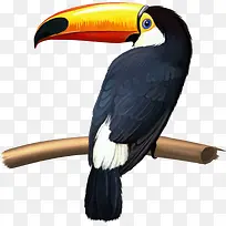 ��֦�ϵ���ѻ-������