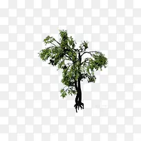 俯视树灌木-空若网 俯视树灌木-空若网