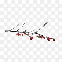 樱桃树树枝-空若网 樱桃树树枝-空若网