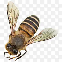 ��ӰҰ�������Ĵ�Ʒ�-������