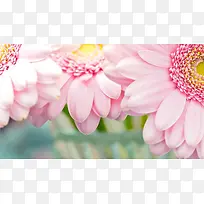 粉色创意向日葵高清-空若网 粉色创意向日葵高清-空若网