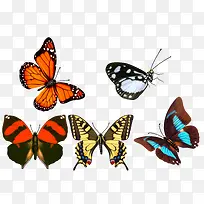 ������ɫ�����󼯺�-������