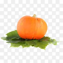 倭瓜红南瓜-空若网 倭瓜红南瓜-空若网