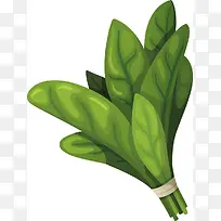 矢量蔬菜-空若网 矢量蔬菜-空若网